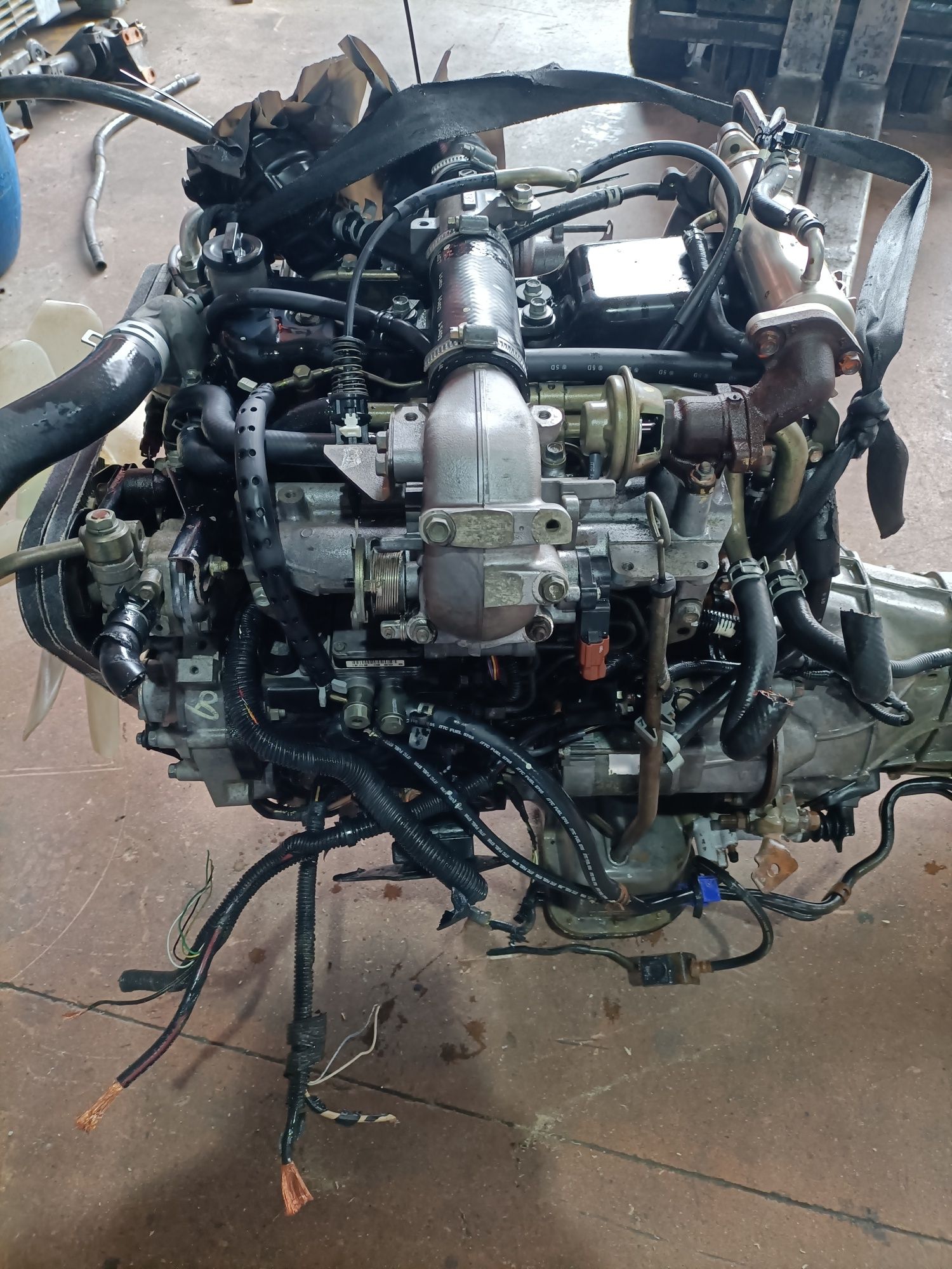Motor Isuzu 4jh1 turbo
