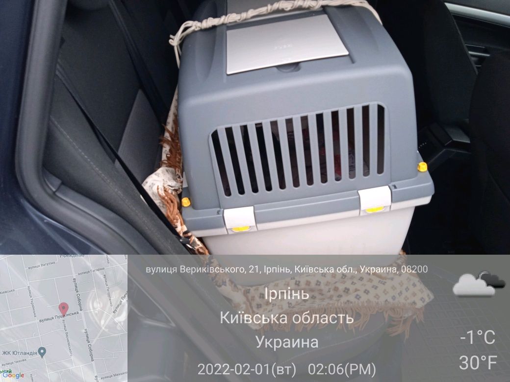 Перевозка животных по Украине