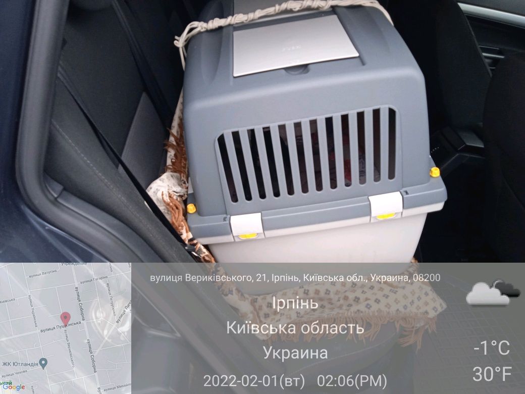 Перевозка животных по Украине та Європи