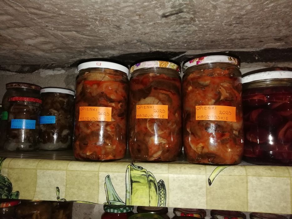 Prawdziwki podgrzybki kozaki