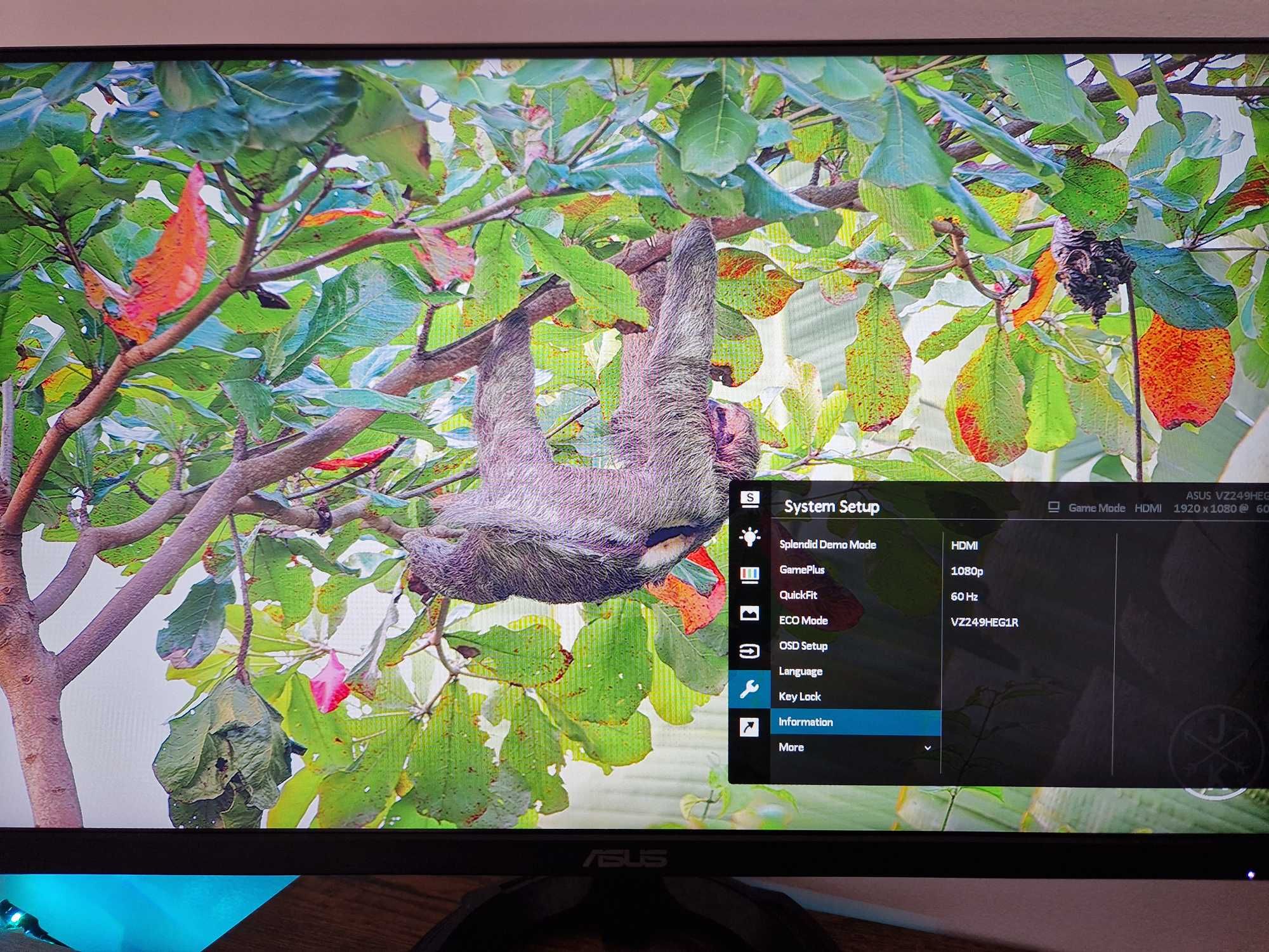 Monitor Asus VZ249HEG 60HZ