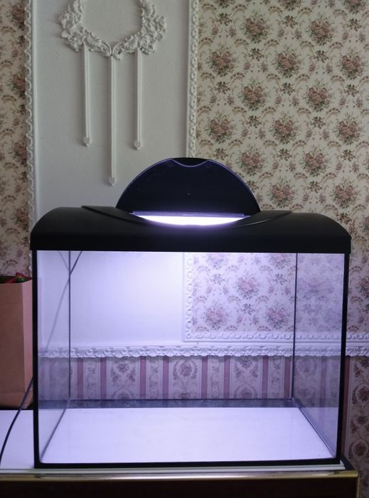 Акваріум для рибок