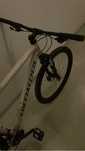 Specialized rockhopper elite 29