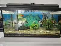 Akwarium 60 L Full Zestaw