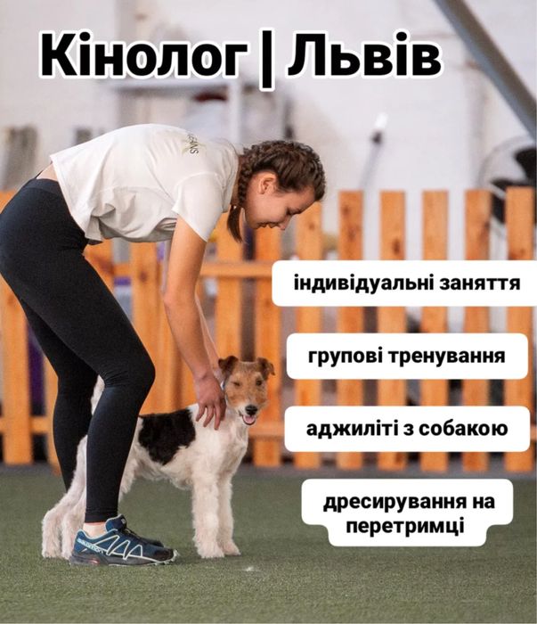 Дресирування собак. Кінолог. Аджиліті.