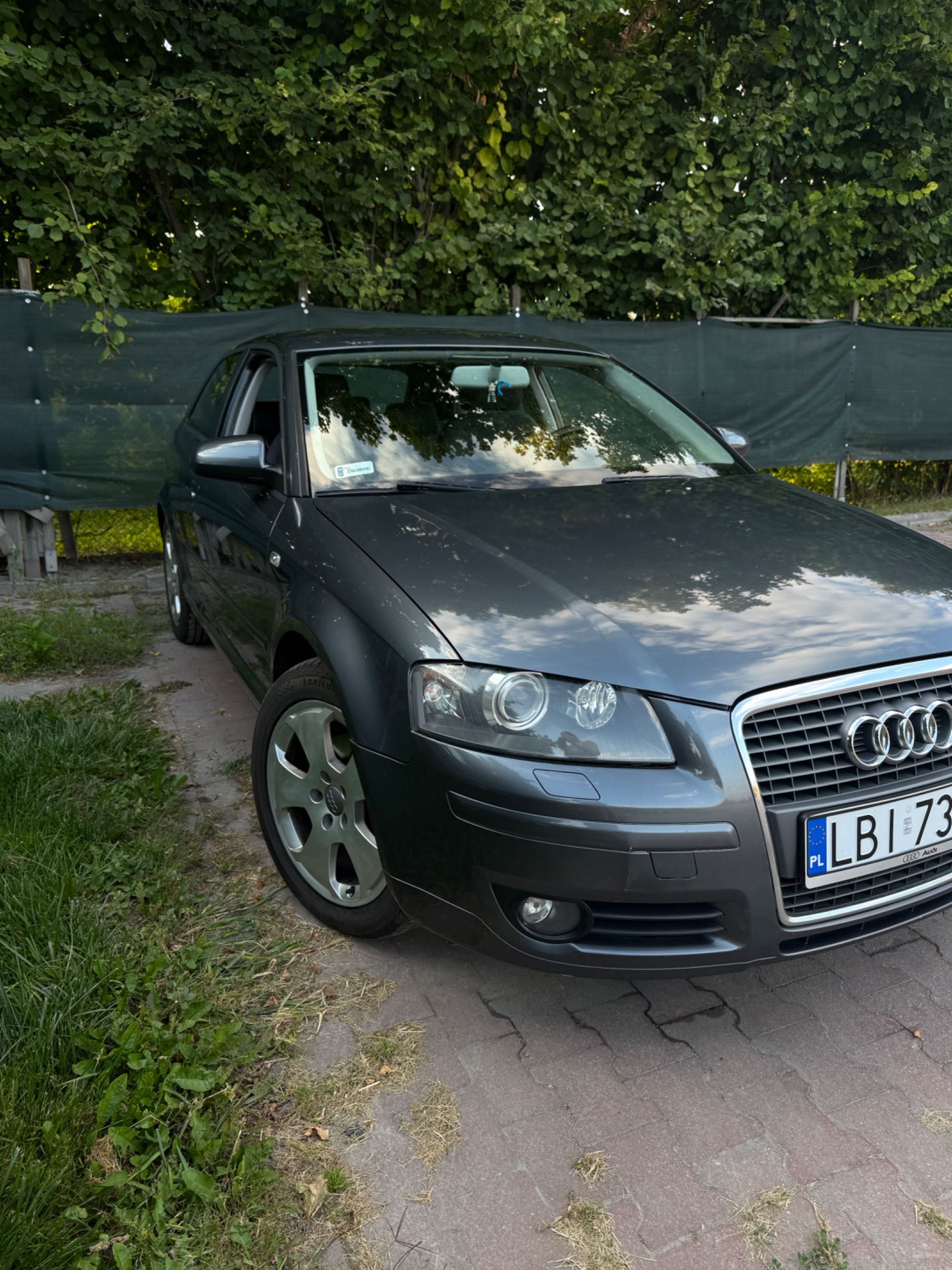 Audi a3 8p 2.0 TDI