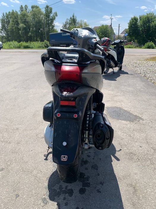 Продам Хонда Sh300
