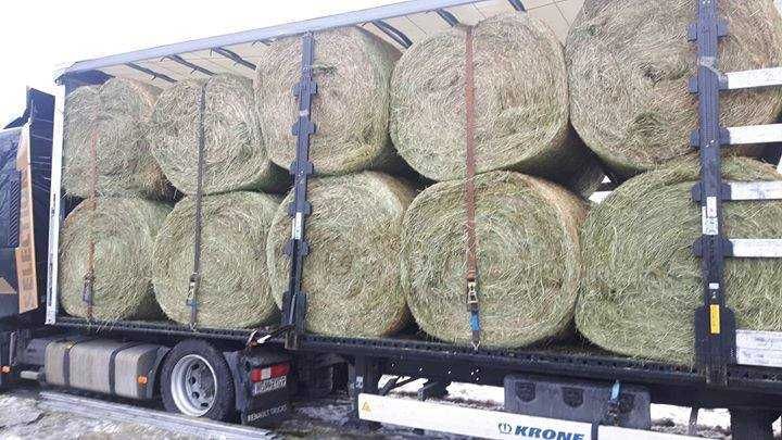 SIANO w belach, kostce DUŻEJ, małej oraz słoma