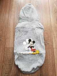 Szara bluza  dla psa Myszka Miki Mickey Mouse Adidog Disney XL