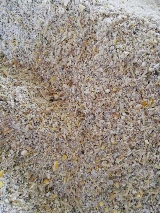 Sprzedam zboża oraz śrutę mieloną