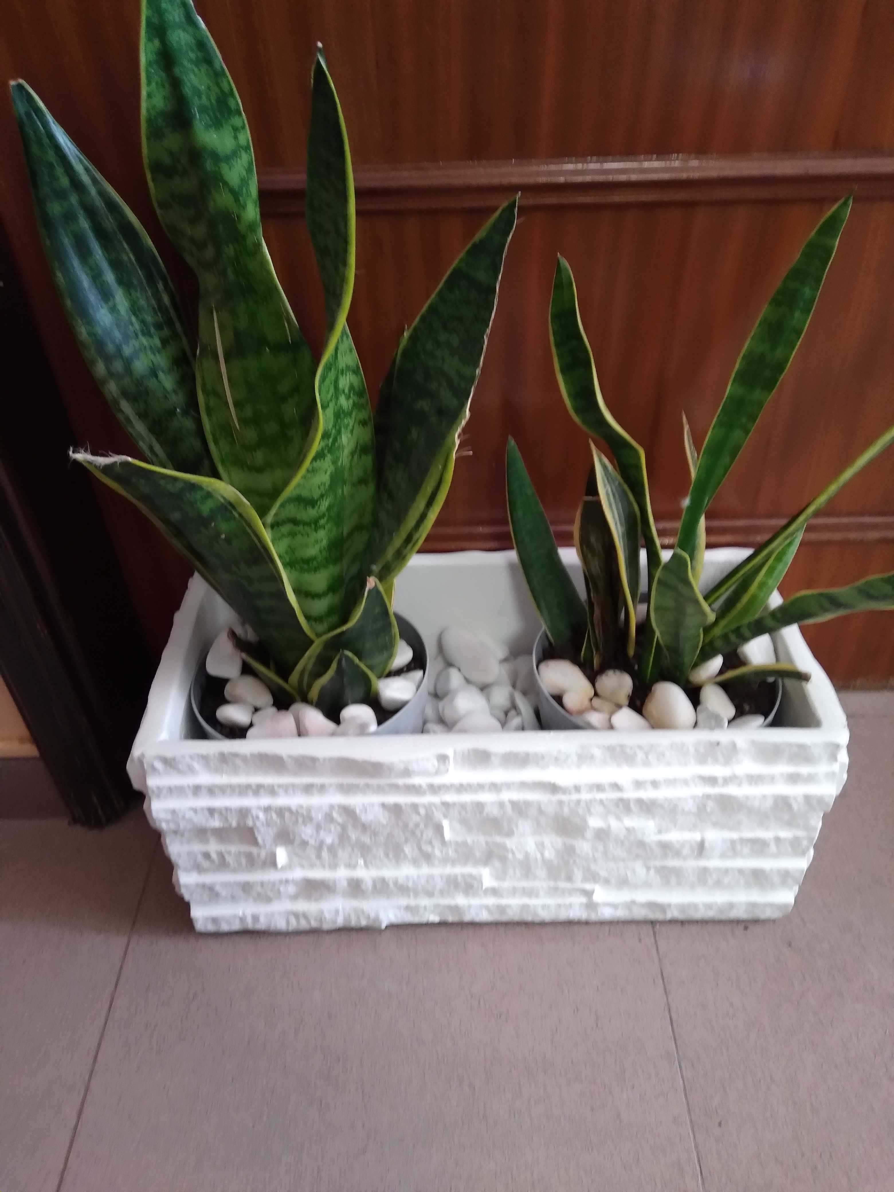 artesanato em gesso