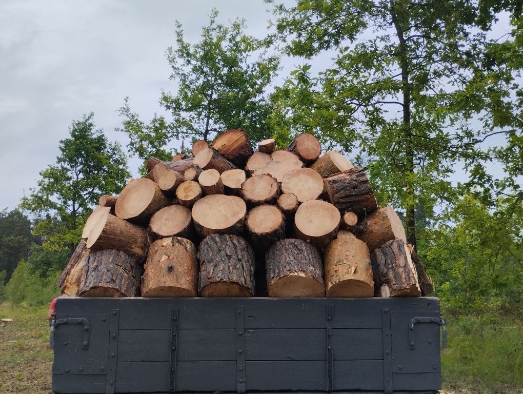 Продам дрова різних порід