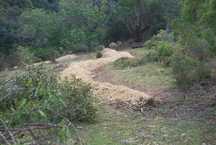 Limpeza de terrenos/podas/gestão de águas pluviais, muros