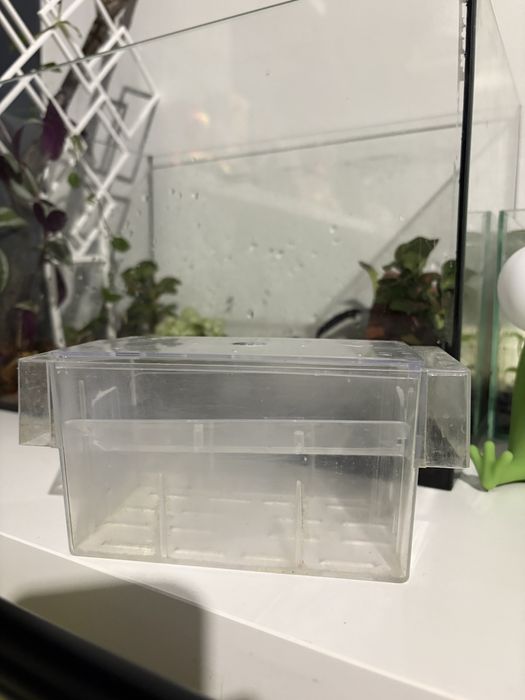 Małe akwarium + kotnik