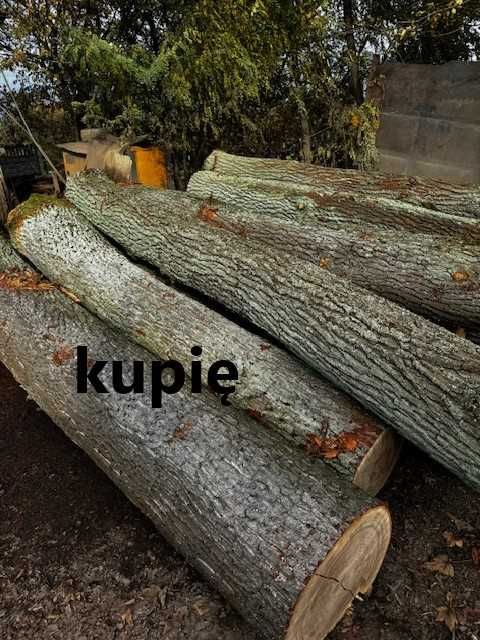 Dąb tartaczny !!!   Kłoda
