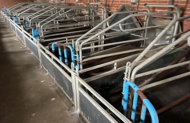 Kojce porodowe - NOWA DOSTAWA - 150 sztuk