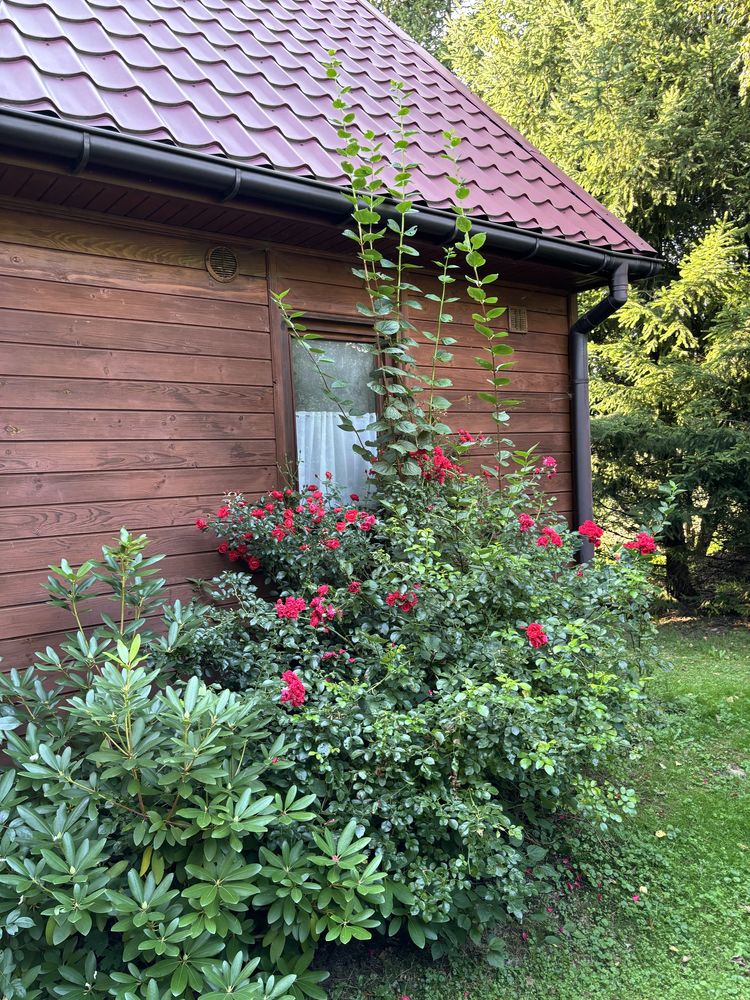 Wakacje w Bieszczadach, domek do wynajecia Bystra chata