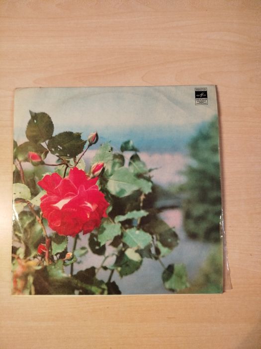 Zespół No to co płyta winylowa