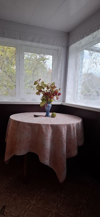 Продам будинок в селі Богданівці