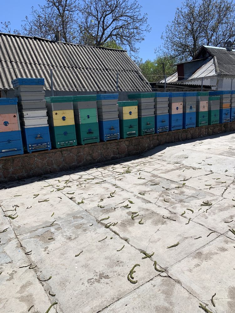 Продам вулики бу