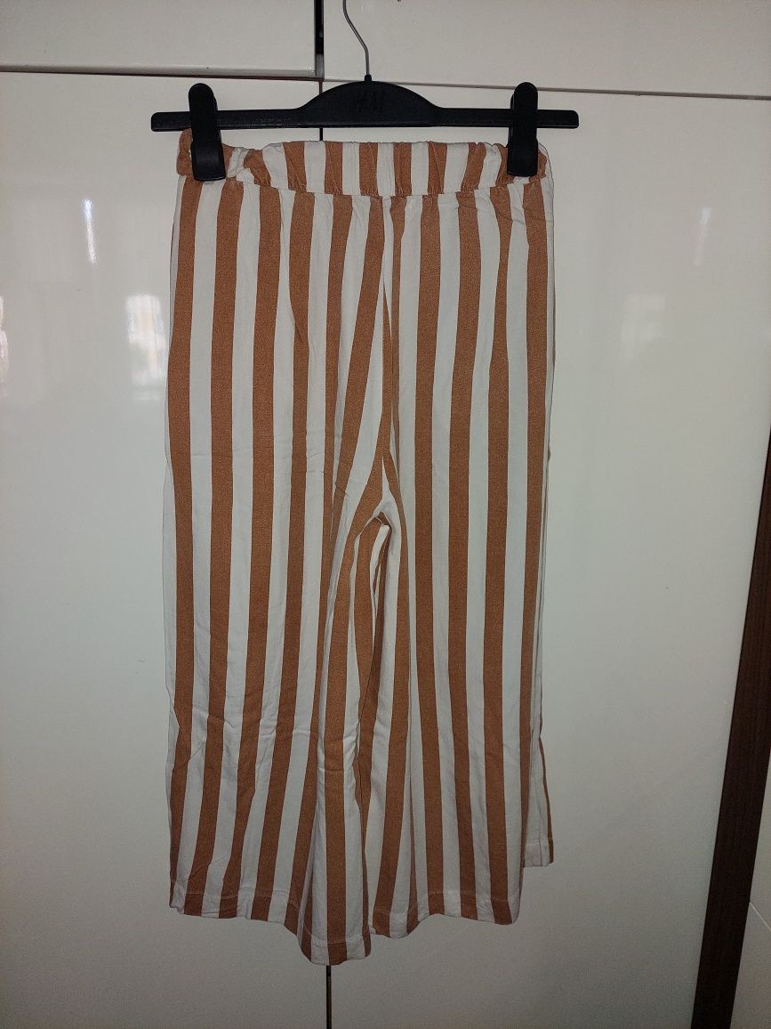 Stradivarius spodnie couloty paski Camel 36