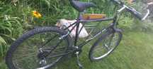 Rower Wheeler 2800 pro line