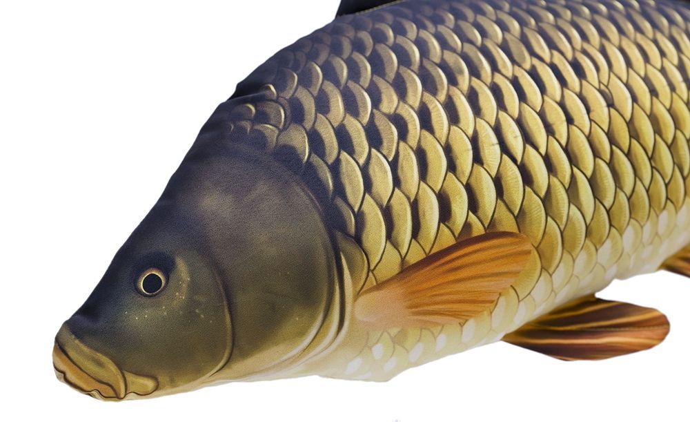 Maskotka poduszka KARP PEŁNOŁUSKI GIGANT GABY ryba zabawka przytulanka