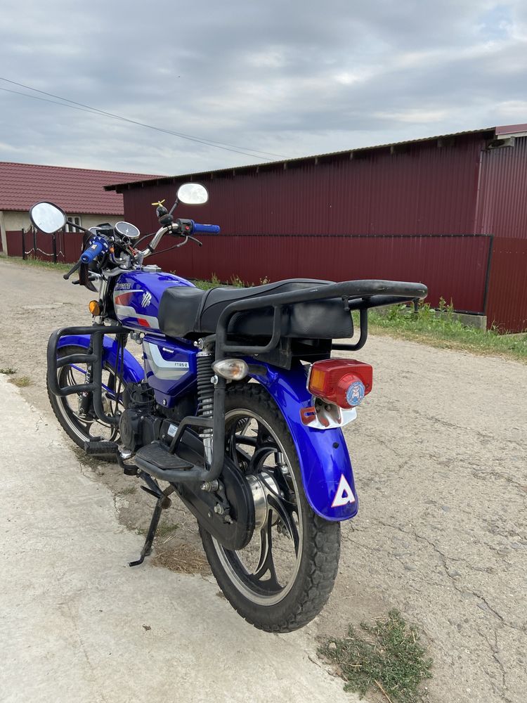 Alpha forte ft125