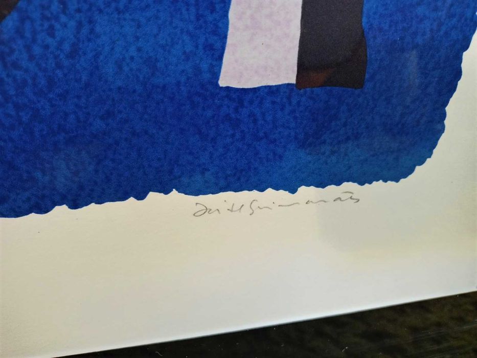 Serigrafia José de Guimarães 6