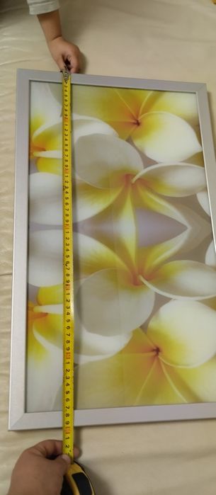 Фасадна триде дверка