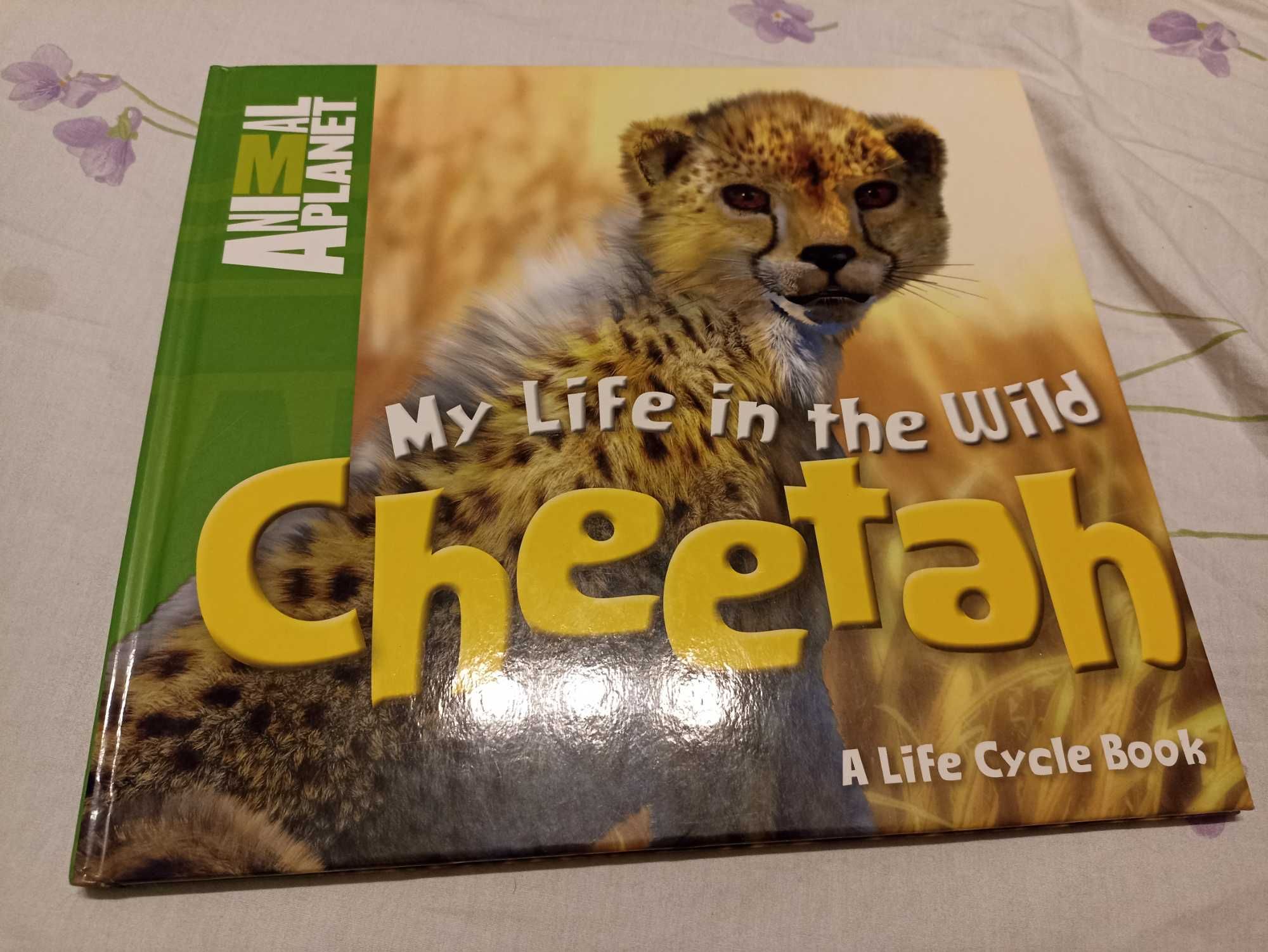 Книжка english cheetah wild life про диких тварин