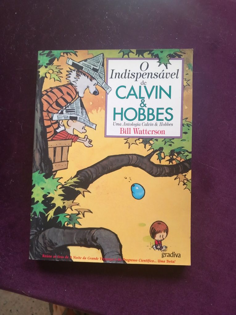Livros banda desenhada