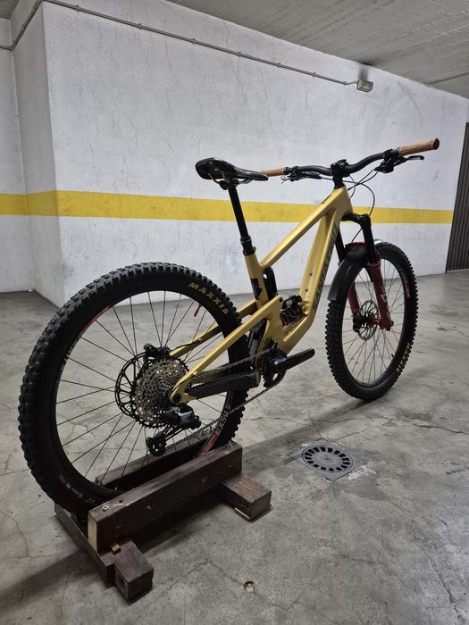 Santa cruz bronson