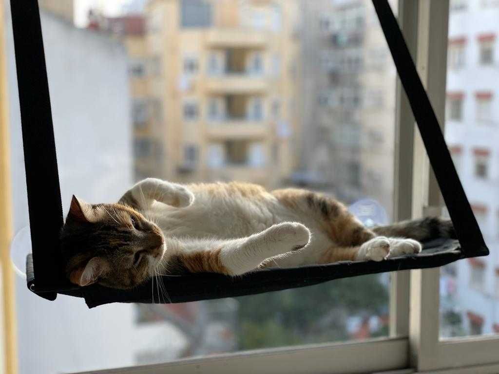 NOVO - Cama de Gato com ventosas para janela