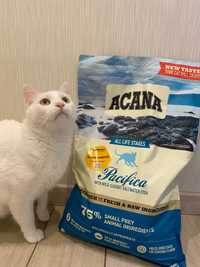 Корм Acana Pacifica Cat
