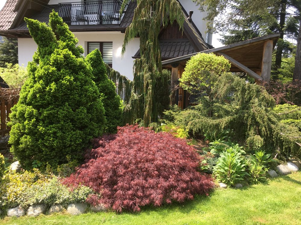 Pokoje i Apartamenty Antałówka 1, Zakopane centrum.