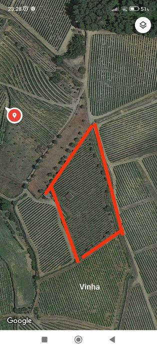 Vinha e área de cultivo na freguesia de passos municipio de sabtosa