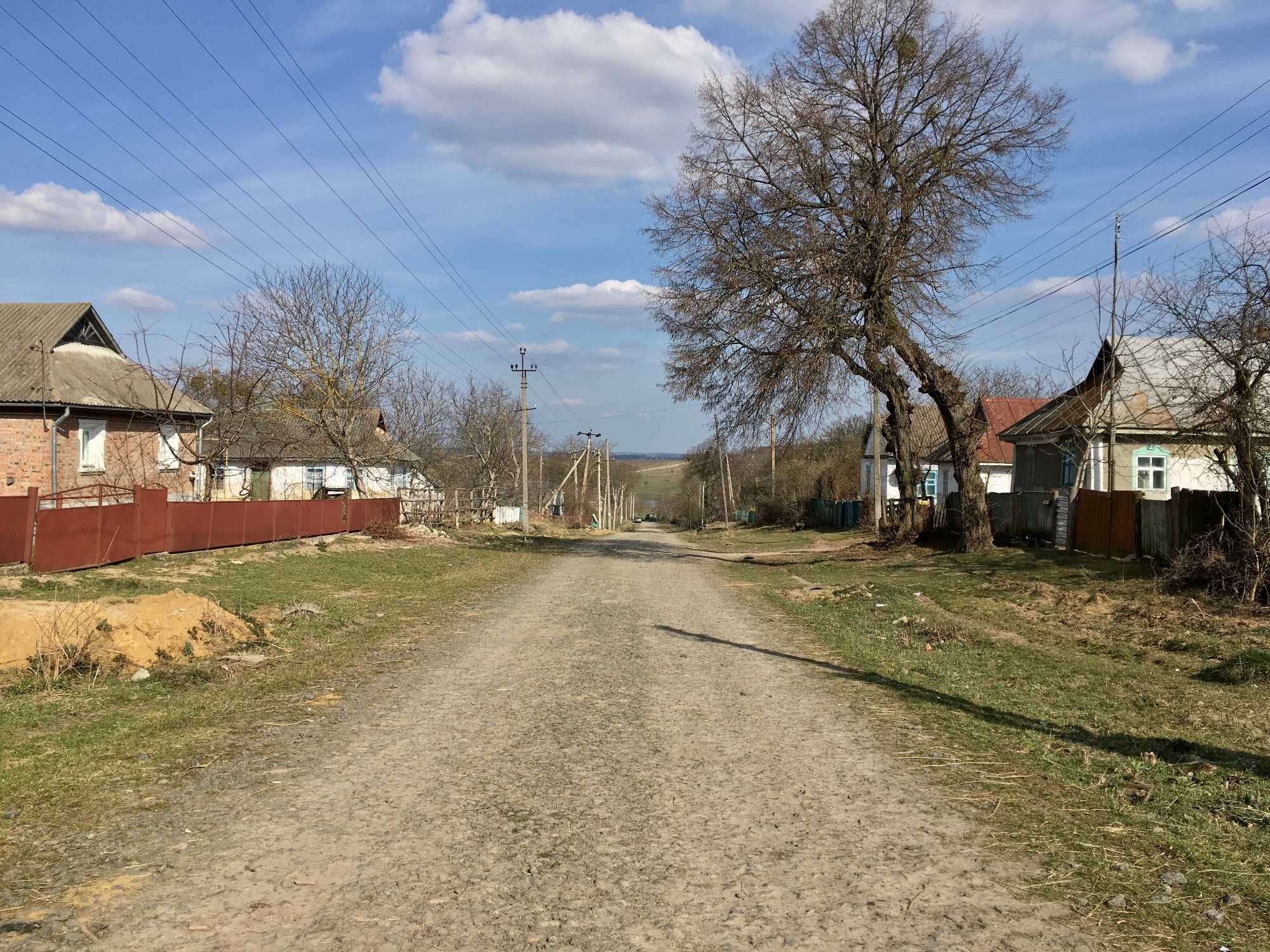 Будинок з городом в Летичівському районі