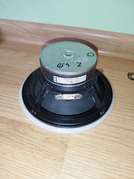 Dali 450 M17WH-48 głosniki uszkodzone