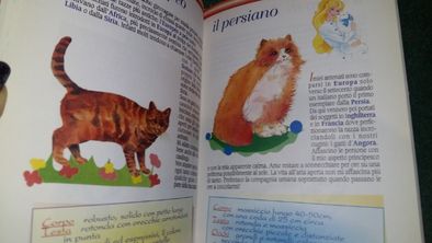 Книги італійською на італійській мові для дівчаток Вінкс та Барбі
