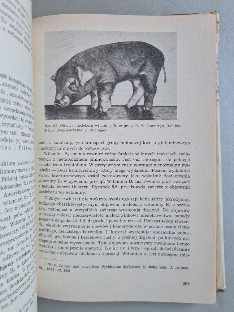 Naukowe podstawy żywienia zwierząt - Książka