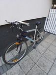 Rower merida kalahari 530