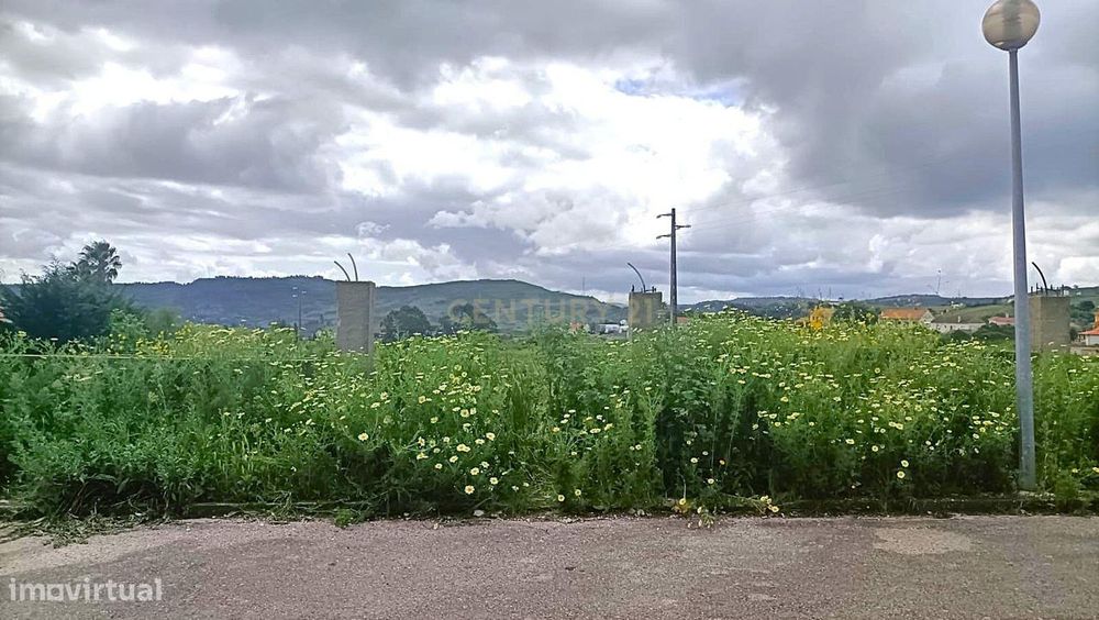 4 Terrenos com projeto aprovado - Moradias T5