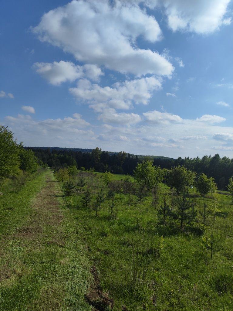 Koszenie traw nieużytków zieleni