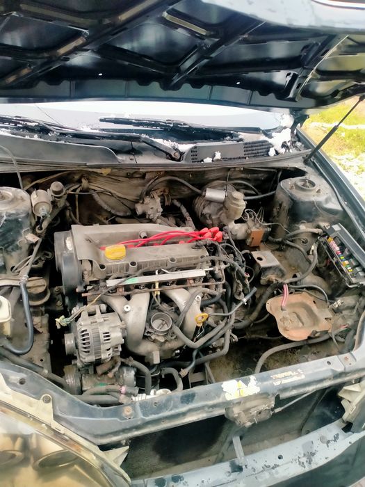 Chery Easter,чери истер