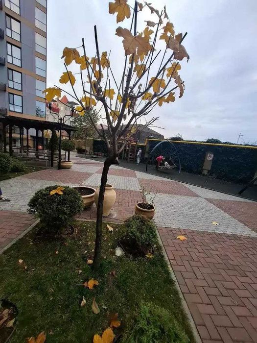 Продам 1к в ЖК Палермо Palermo Свєтлова Центр