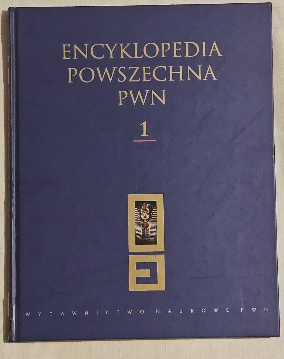 Stan idealny. Encyklopedia Powszechna PWN Tom 1.