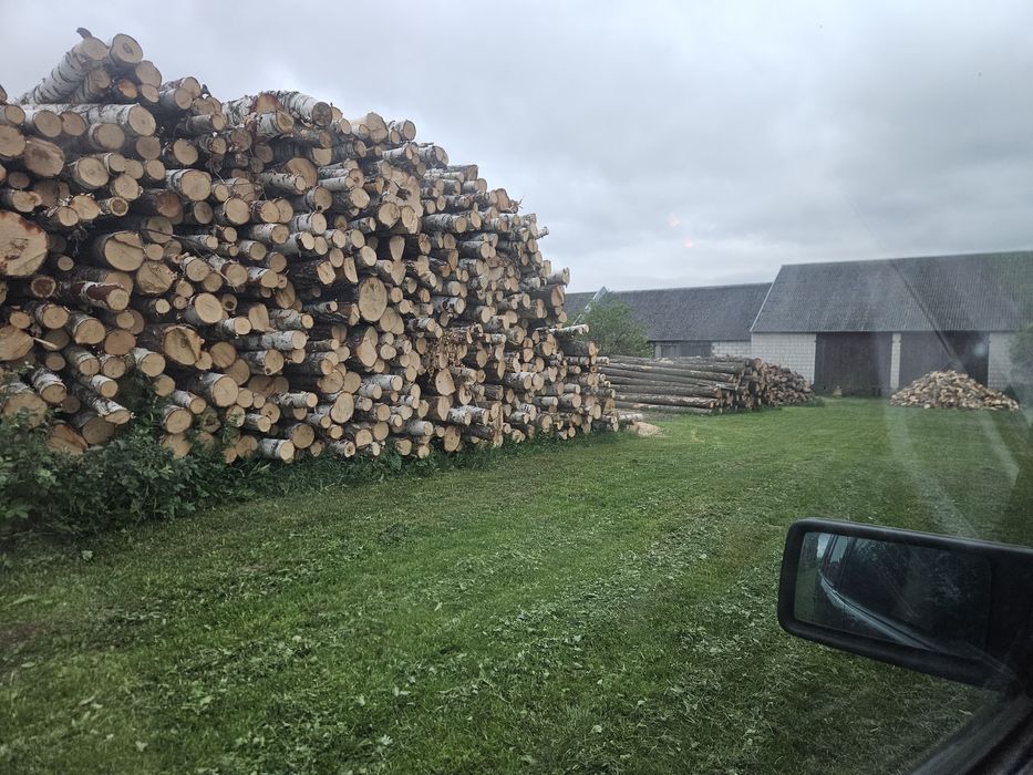 Drewno opalowe liściaste