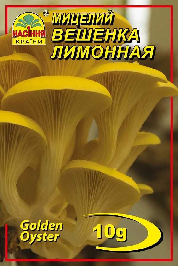 Мицелий грибов сухой