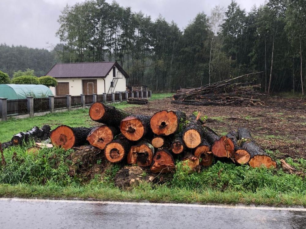 Drewno opałowe liściaste